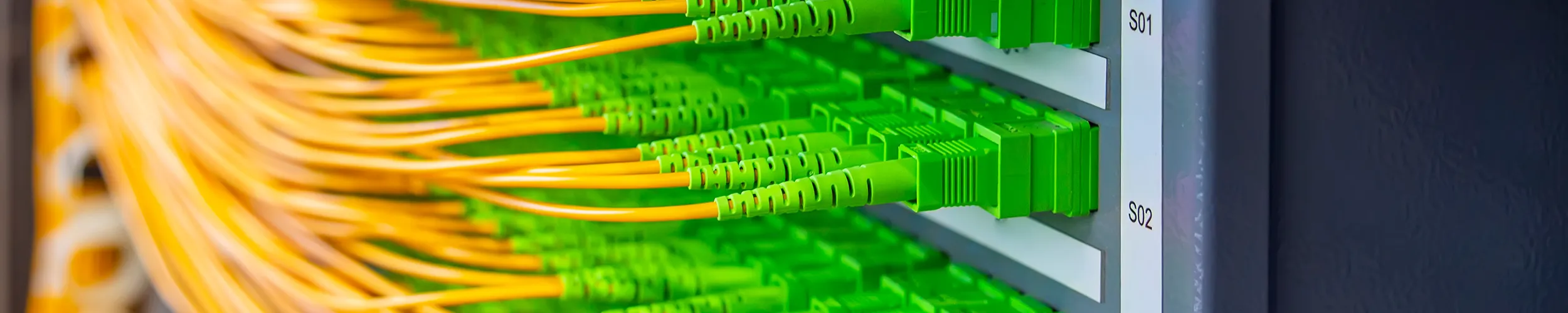a row of single-mode fiber patch cables